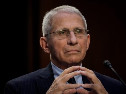 WASHINGTON, DC - SEPTEMBER 14: Dr. Anthony Fauci, director of the National Institutes of Allergy and Infectious Diseases, testifies during a Senate Committee on Health, Education, Labor and Pensions hearing about the federal response to monkeypox, on Capitol Hill September 14, 2022 in Washington, DC. The U.S. is working to …