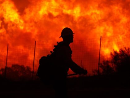 LAKE HUGHES, CA - JUNE 1: Flames rise near a firefighter as the Powerhouse fire makes a fast run toward Lake Hughes on June 1, 2013 south of Lake Hughes, California. The 19,500-acre wildfire destroyed numerous homes overnight. Nearly 1,000 firefighters have been working in hot, dry conditions to establish …