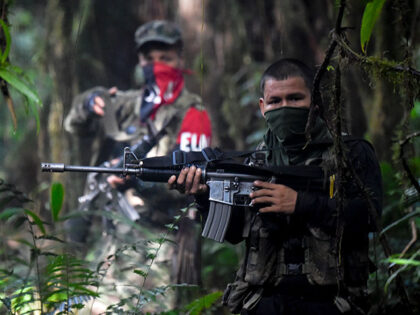 Members of the Ernesto Che Guevara front, belonging to the National Liberation Army (ELN) guerrillas, shoot during a training in the Choco jungle, Colombia, on May 26, 2019. - The ELN or National Liberation Army is Colombia's last rebel army and one of the oldest guerrillas in Latin America. (Photo …