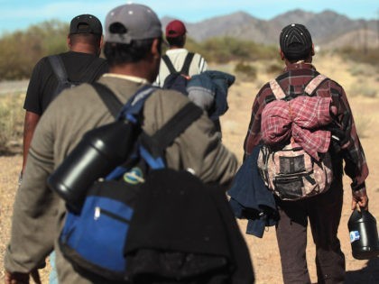 Undocumented Mexican immigrants walk through the Sonoran Desert after illegally crossing the U.S.-Mexico border border on January 19, 2011 into the Tohono O'odham Nation, Arizona. The immigrants said they had wandered the desert lost for a week after crossing from Mexico into the vast Indian reservation at night. Exhausted, they …